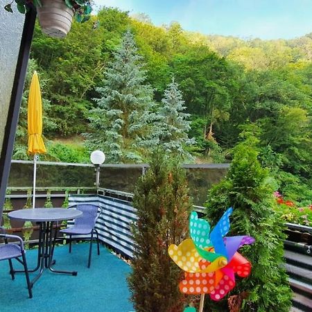 Muehle-Maus Apartman Sankt Goarshausen Kültér fotó